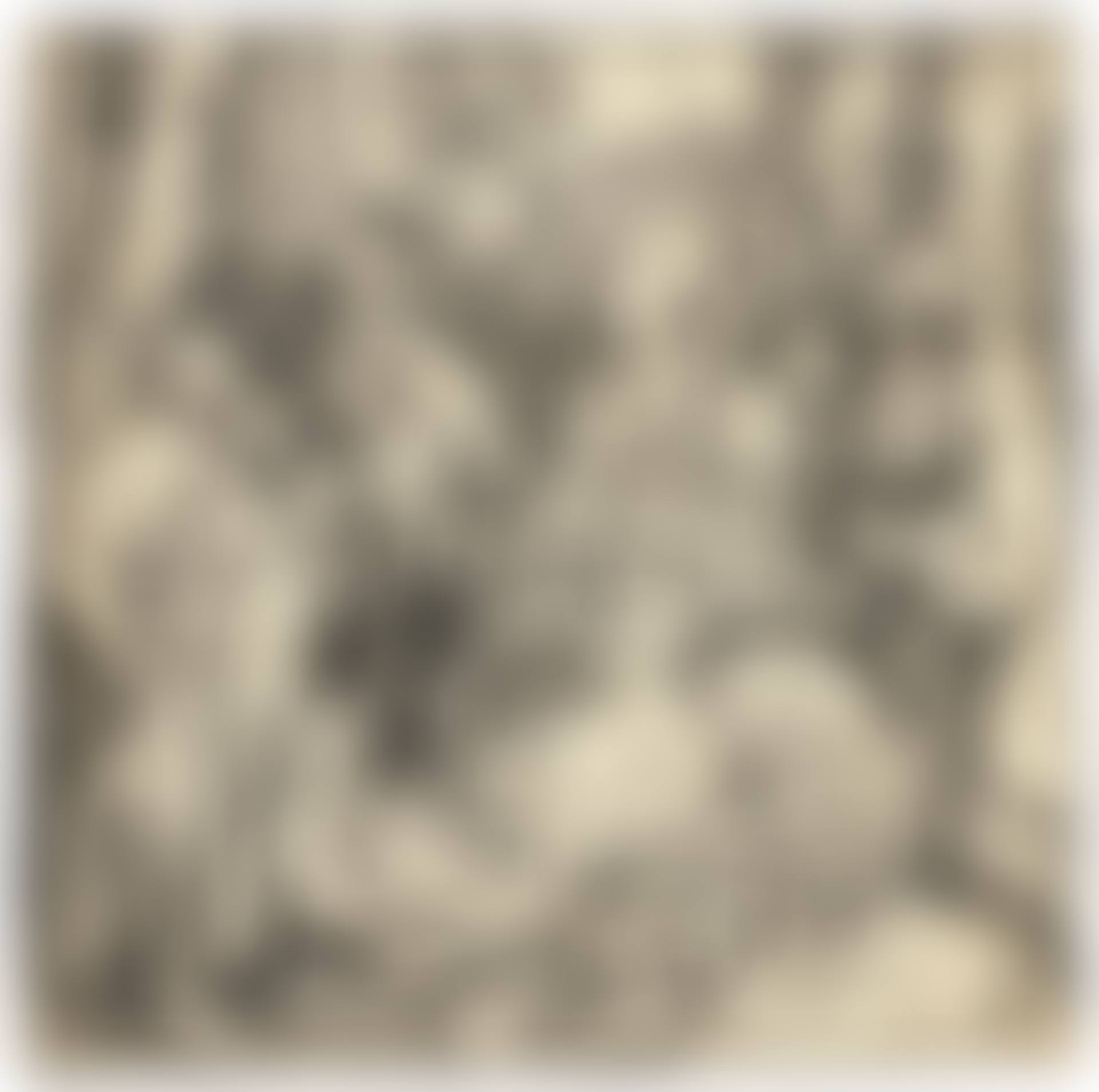 THE HOLY KINSHIP WITH THE LUTE-PLAYING ANGELS (B. 97; M., HOLL. 216) (preview)