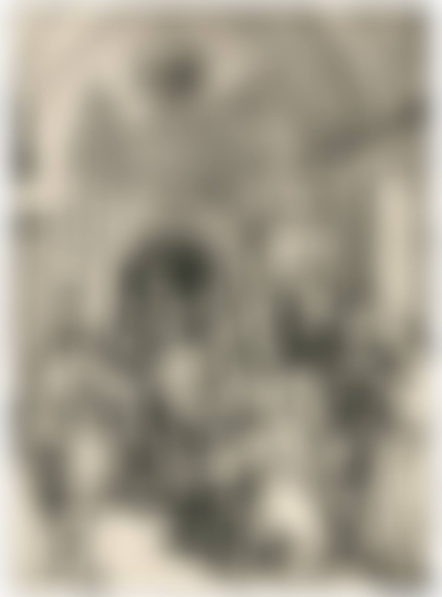 THE CIRCUMCISION   (B. 86; M., HOLL. 198) (preview)