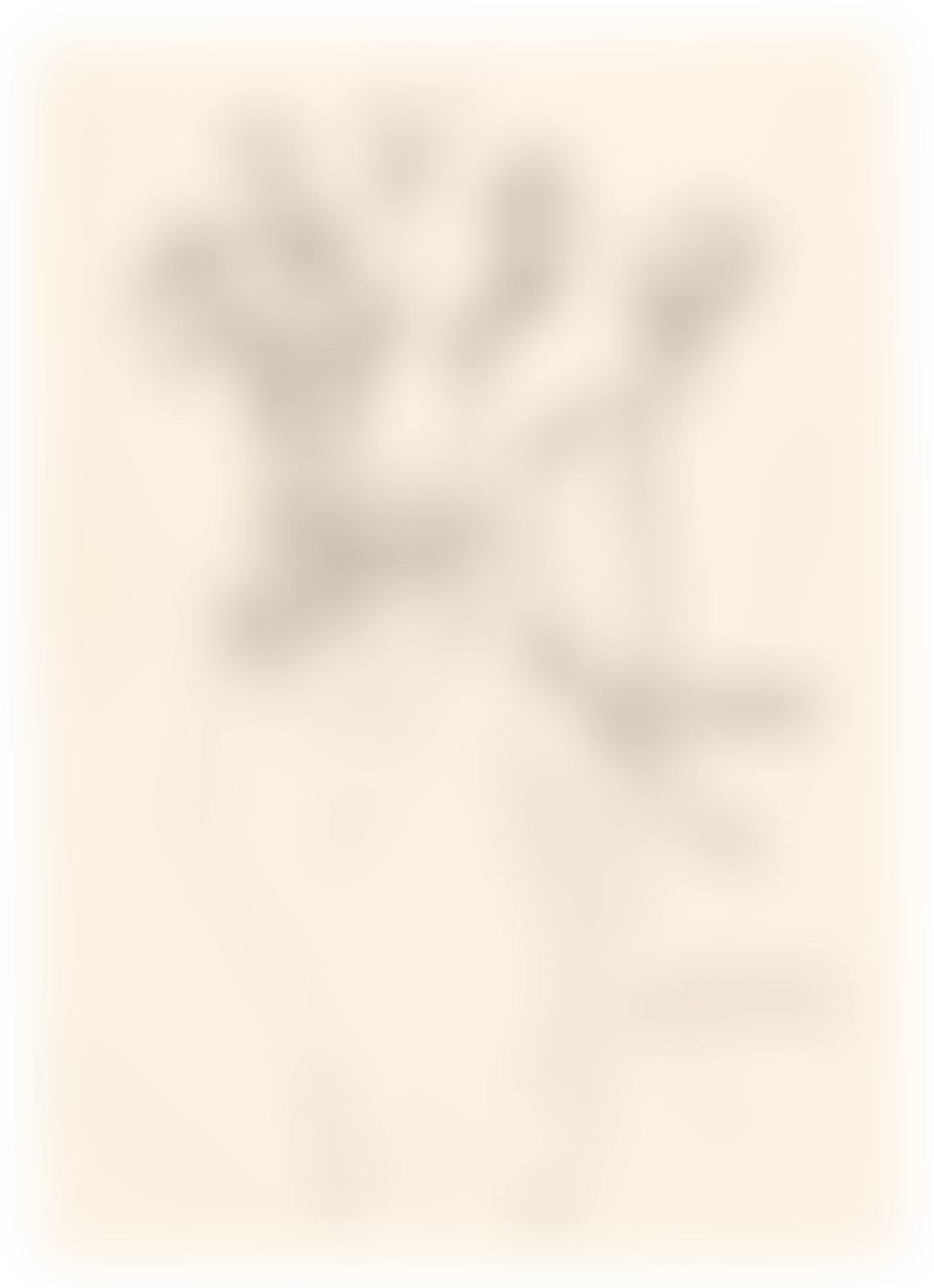 HAND AND FLOWERS (SEE F. & S. IV.125B) (preview)