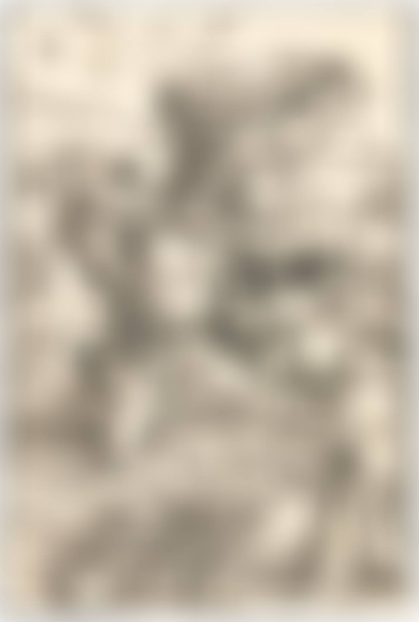 THE LAST SUPPER; THE HOLY FAMILY WITH JOACHIM AND ANNA UNDER A TREE; SAINT CHRISTOPHER WITH THE FLIGHT OF BIRDS; AND SAINTS NICHOLAS, ULRICH AND ERASMUS  (preview)