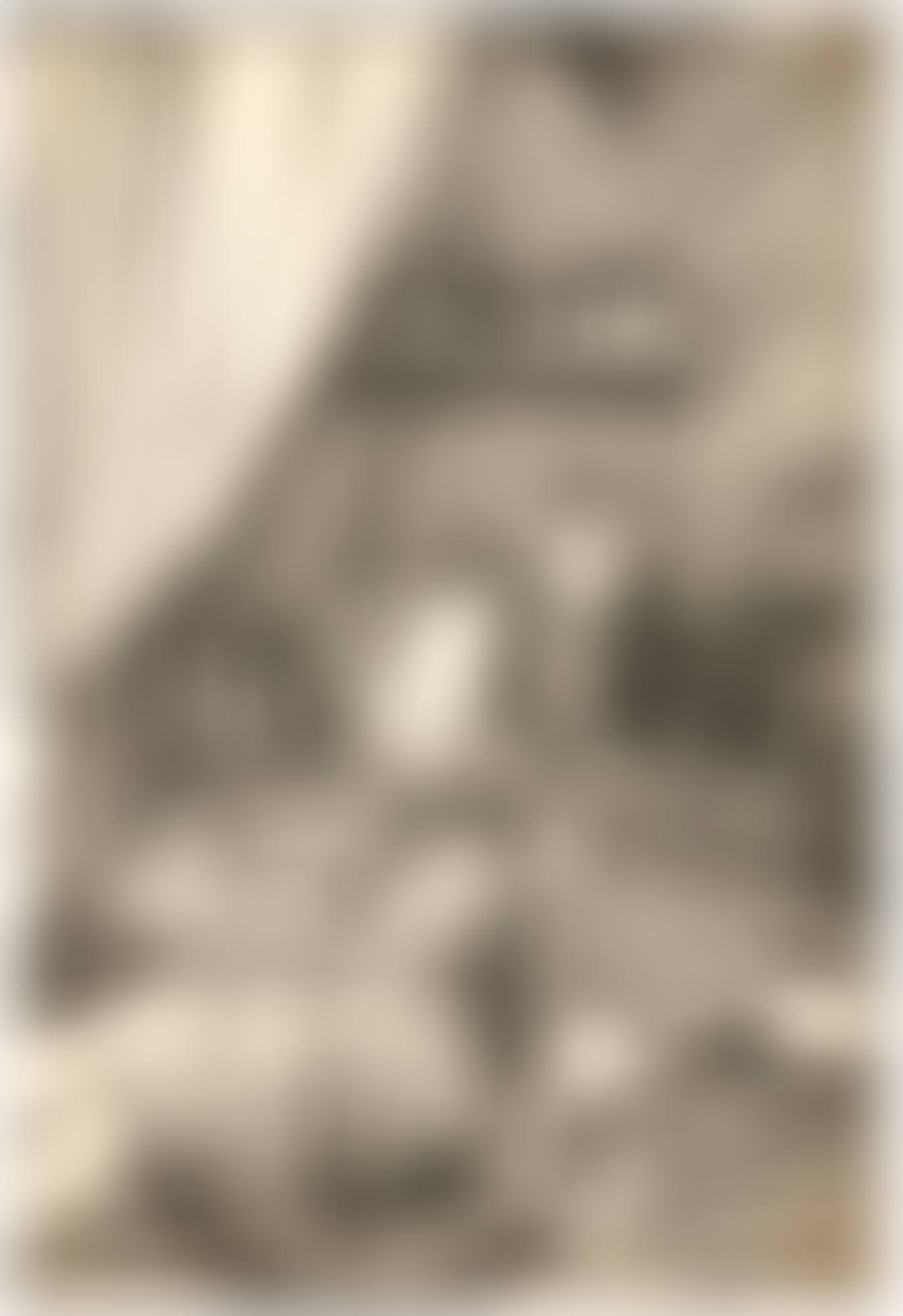 SAINT JEROME IN HIS CELL (B. 114; M., HOLL. 228) (preview)