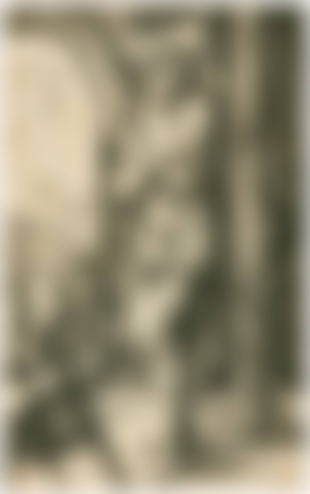THE MAN OF SORROWS STANDING BY THE COLUMN (BARTSCH, MEDER, HOLLSTEIN 3) (preview)