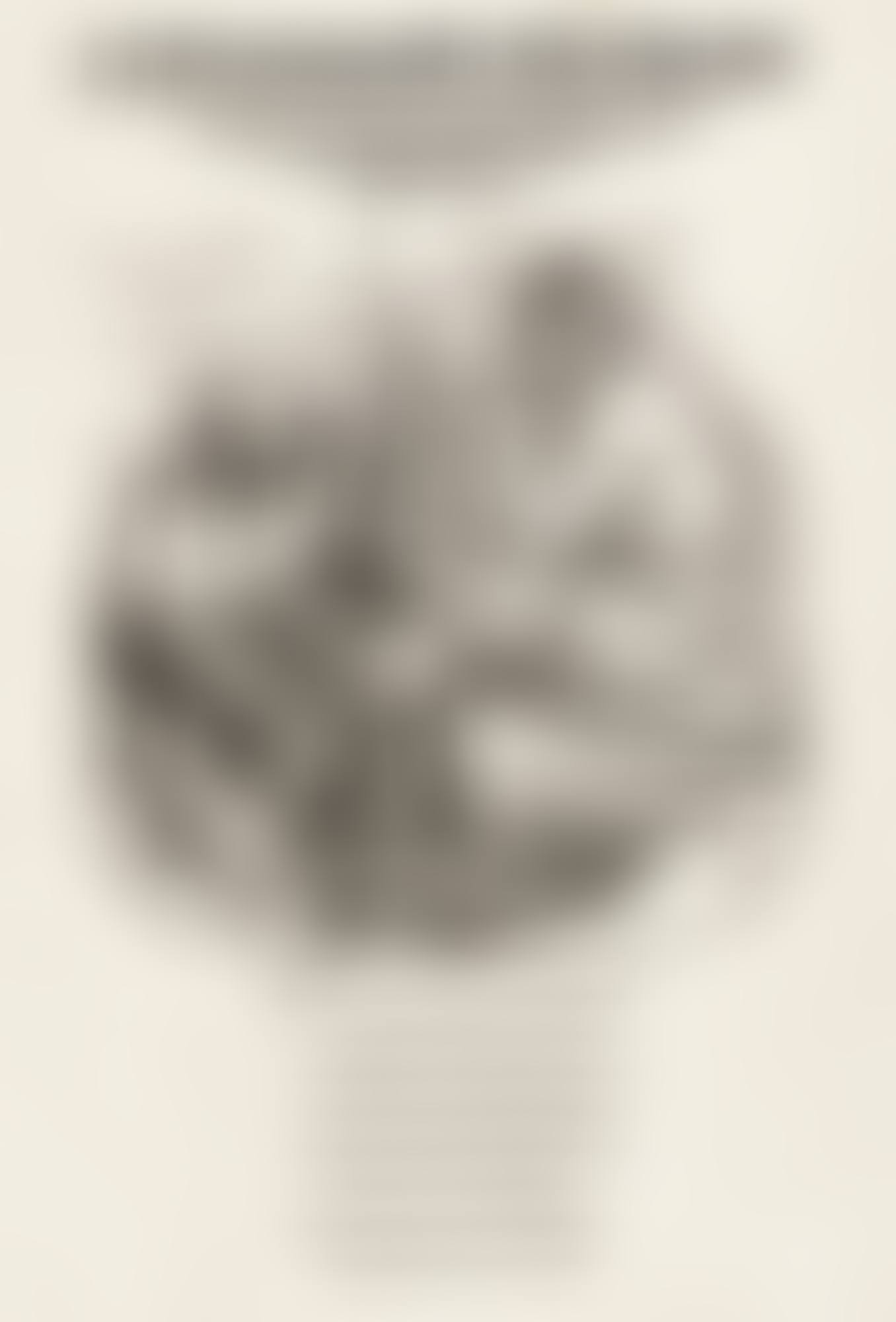 THE LARGE PASSION (B. 4-15, M., HOLL. 113-24) (preview)