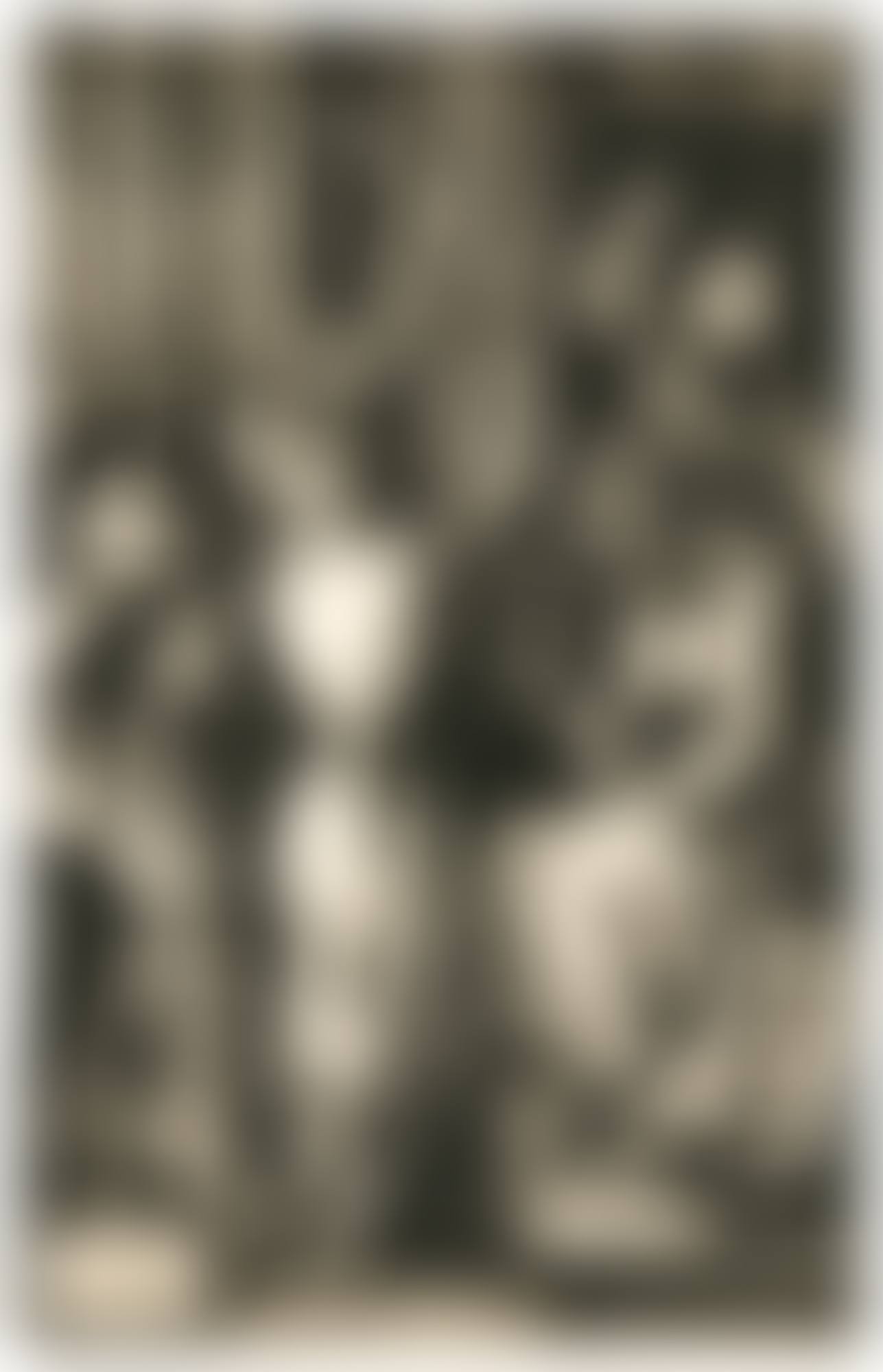 CHRIST CROWNED WITH THORNS (B., M., HOLL. 9) (preview)