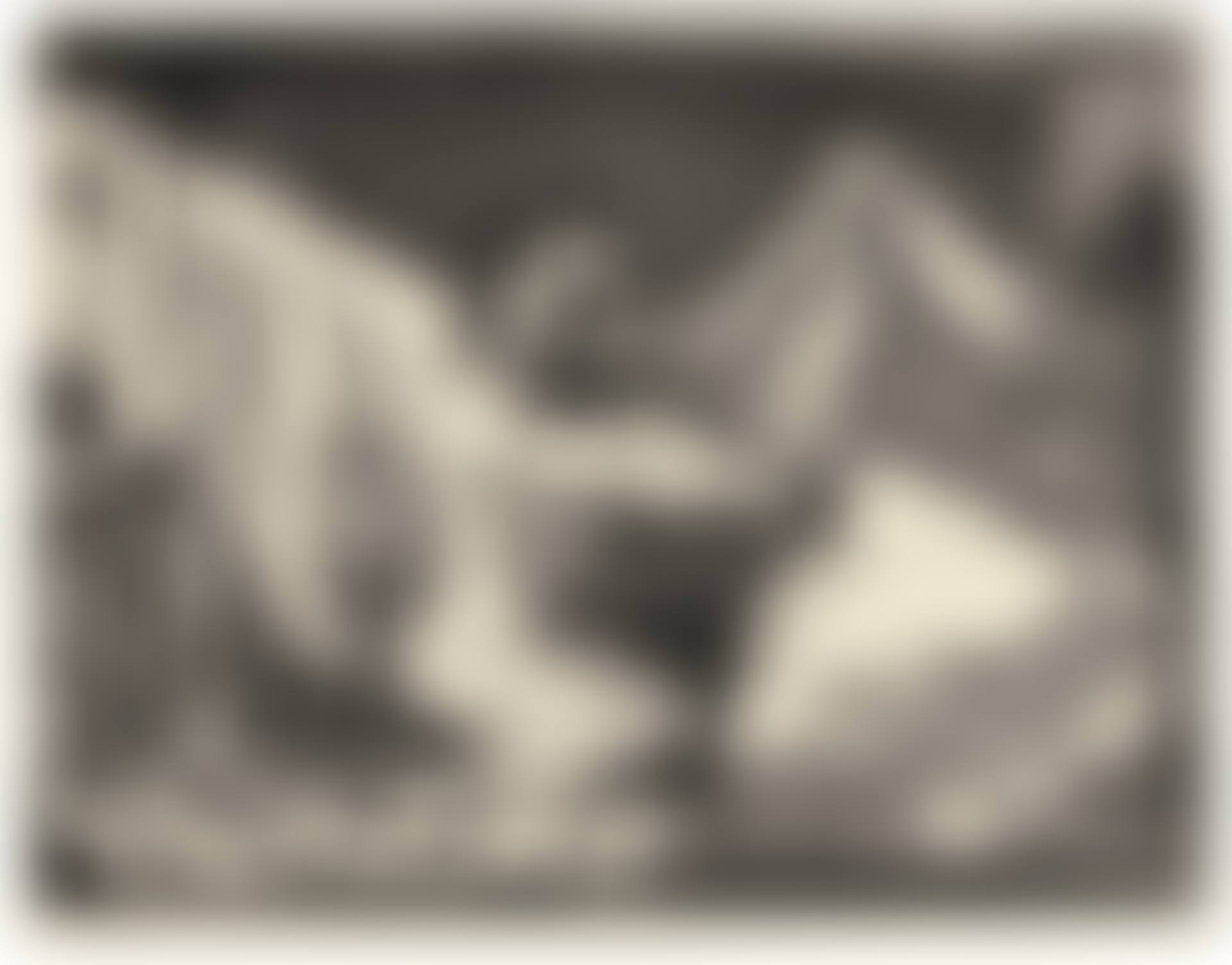 FAUNE DÉVOILANT UNE FEMME (B. 230; BA. 609) (preview)