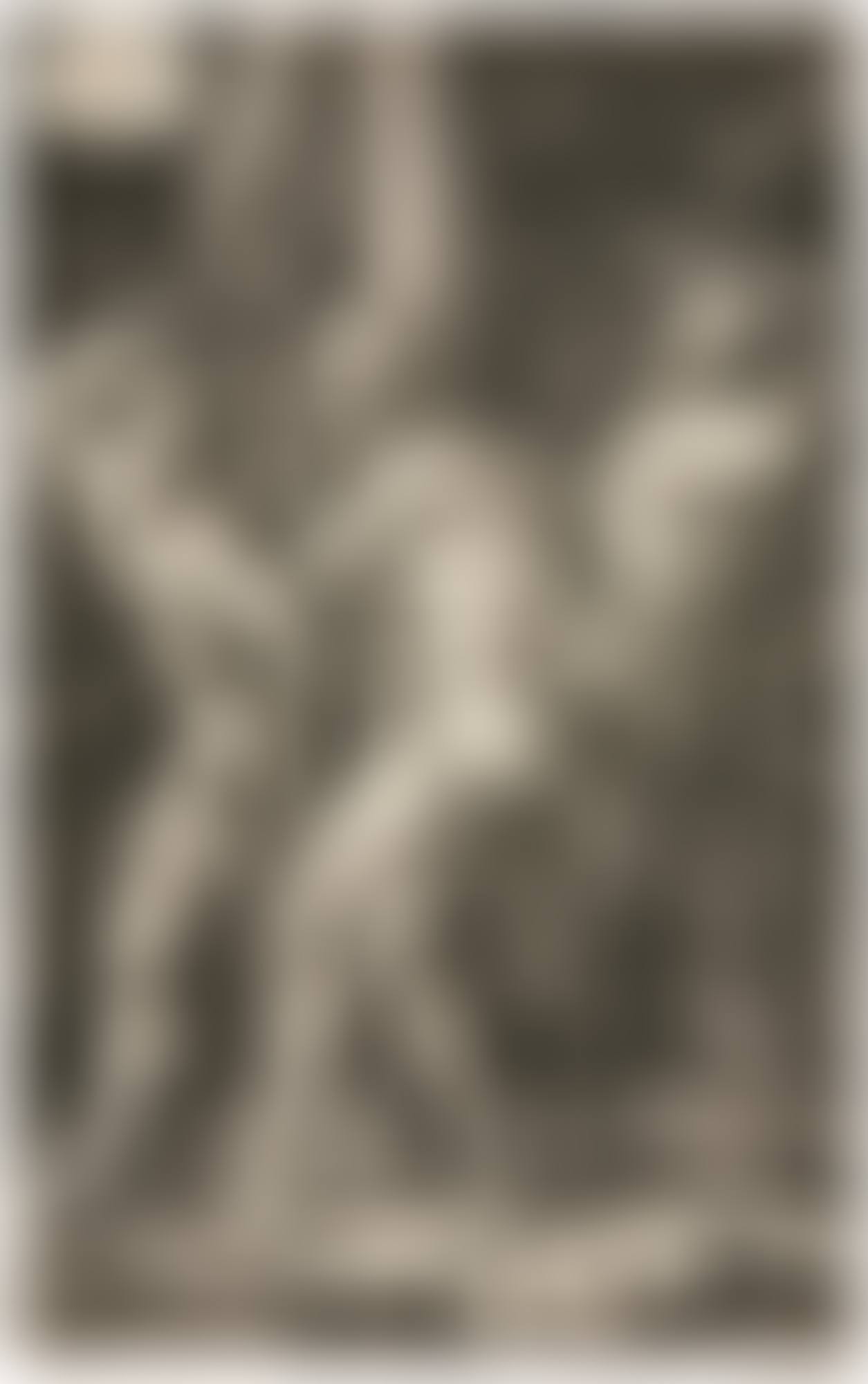THE FLAGELLATION (B., M., HOLL. 8) (preview)