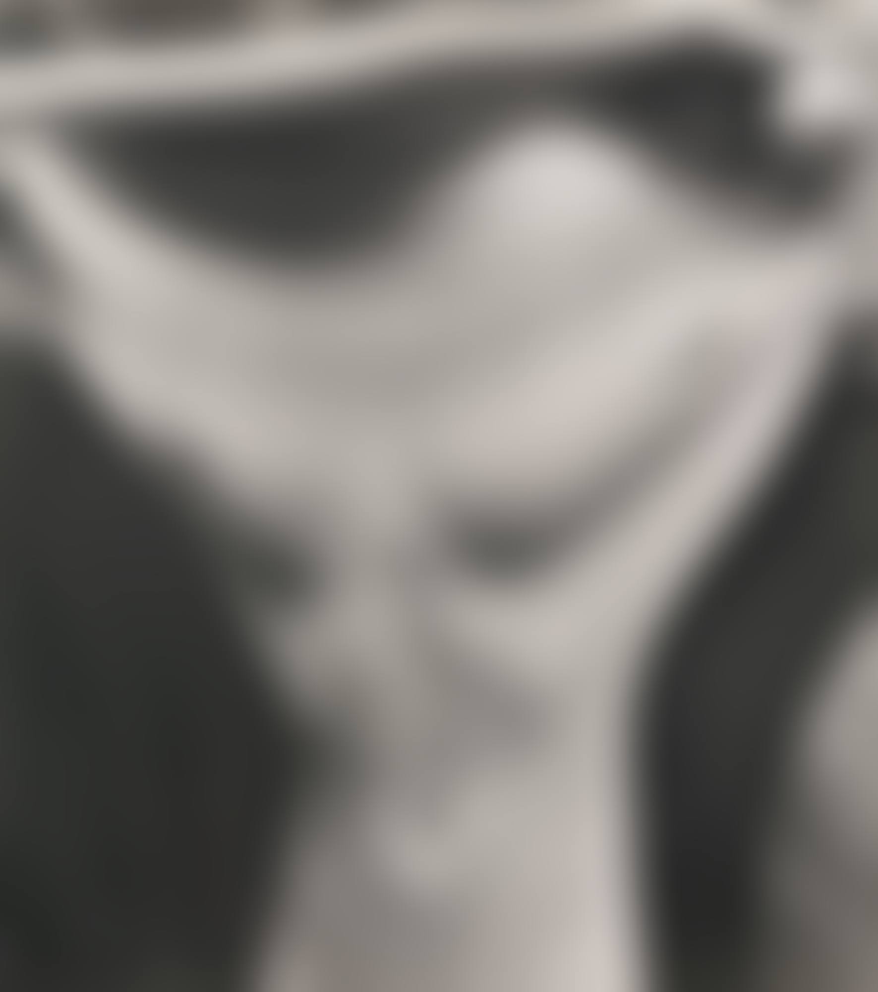 DISTORTION NO. 173 (preview)
