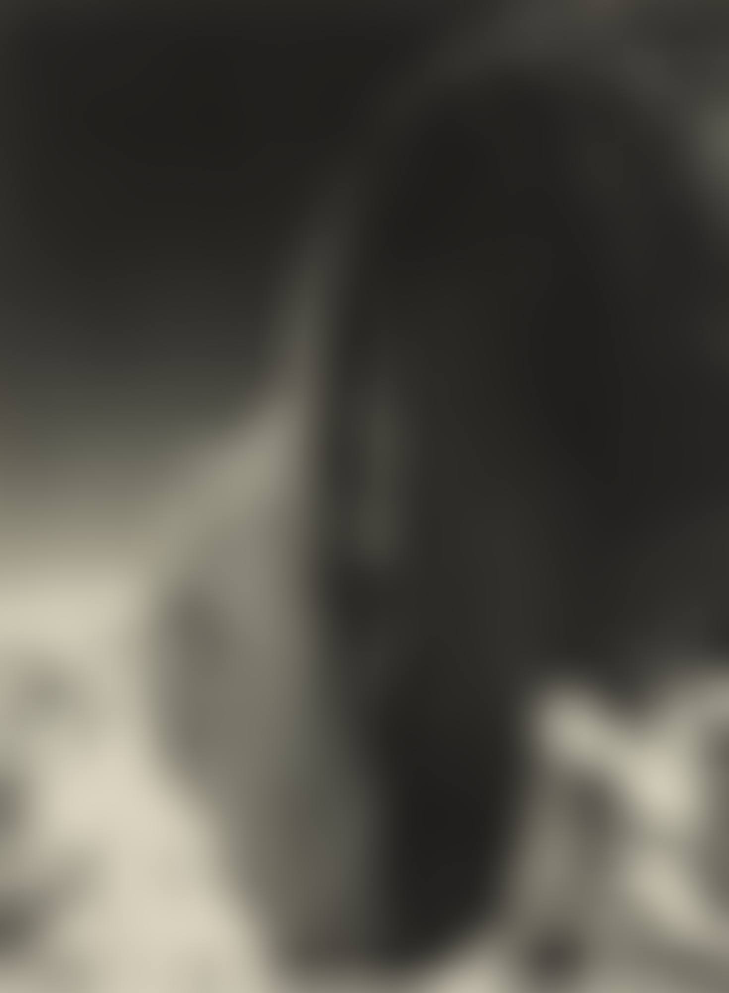 MONOLITH, FACE OF HALF DOME (preview)