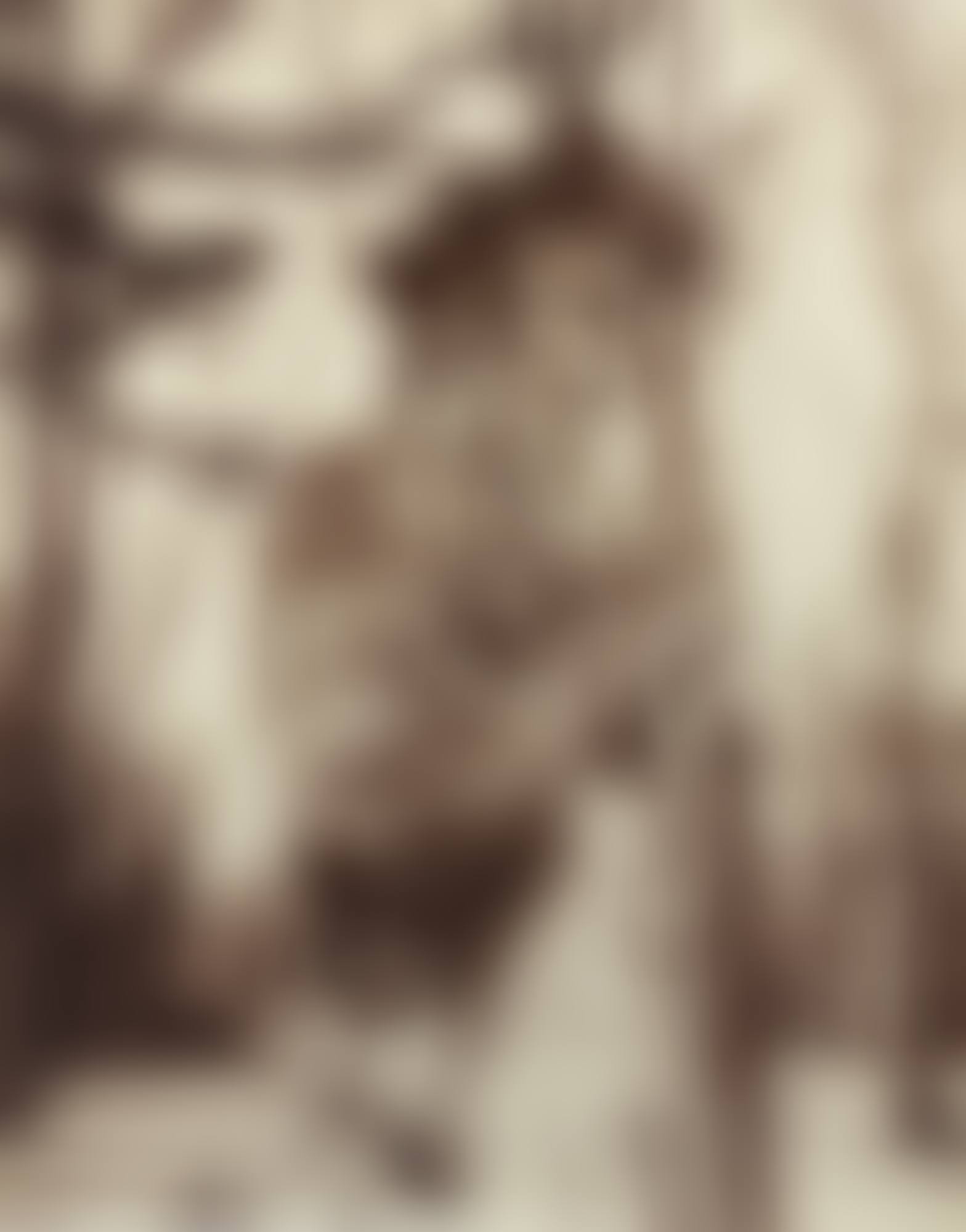 VERSAILLES (FAUNE)' (preview)