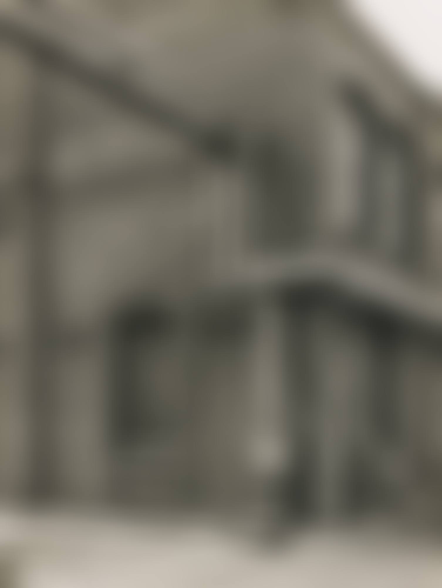 ZECHE HUGO RECKLINGHAUSEN (preview)
