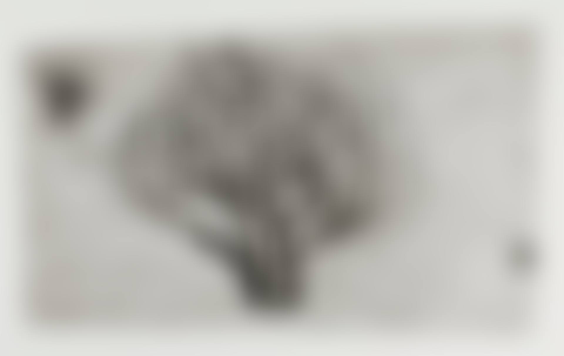 PAROS TREE (L. 101) (preview)