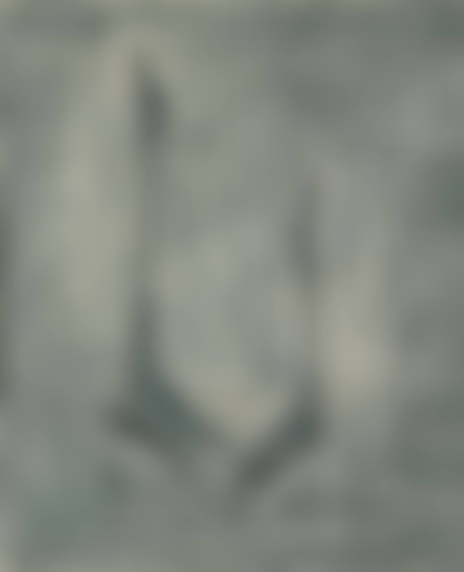 MULFRA  (preview)