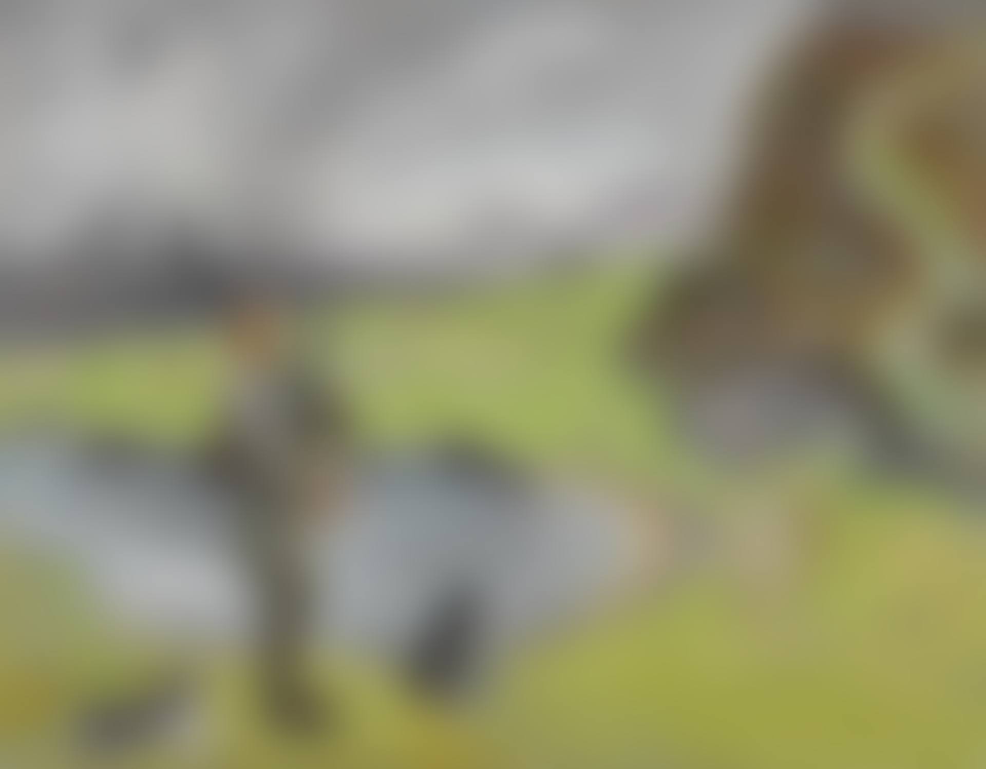 THE PIPER (preview)
