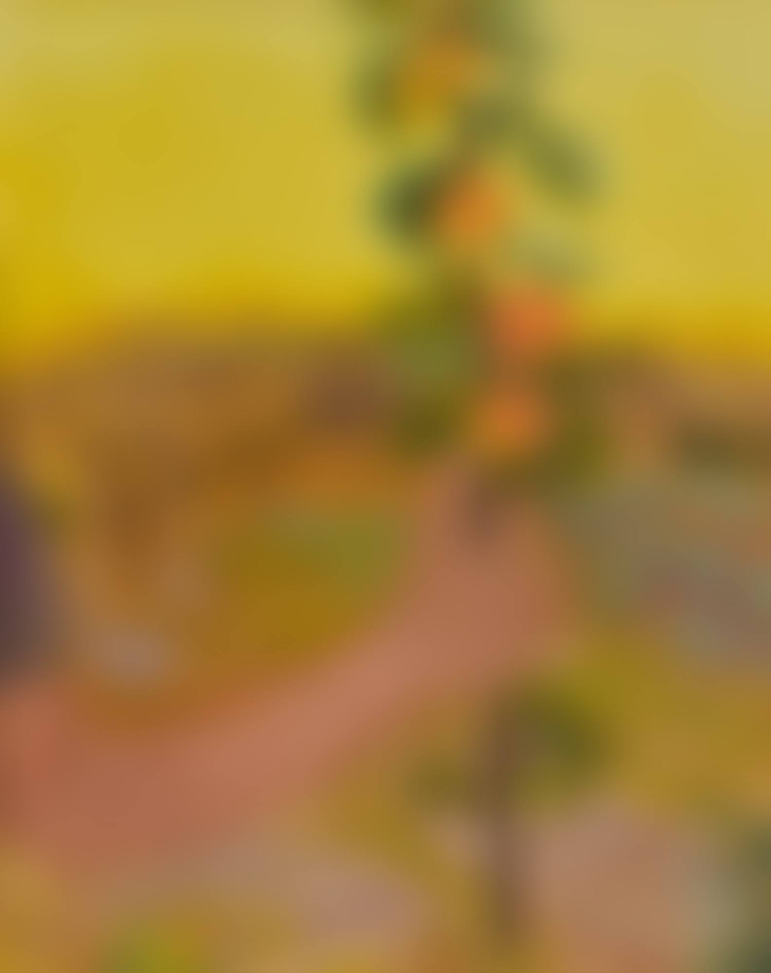 HOLDING ORANGES (preview)