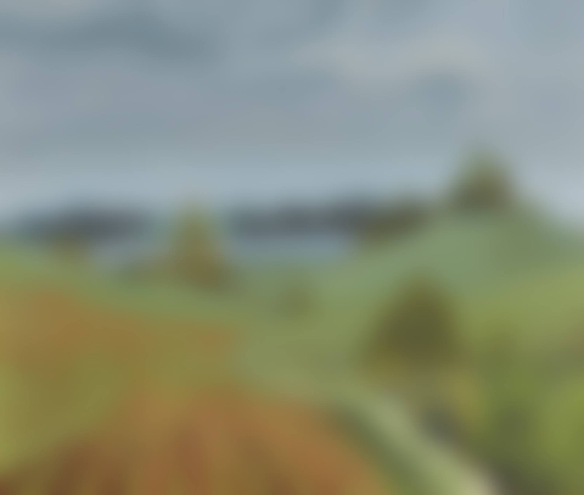 LANDSCAPE (preview)