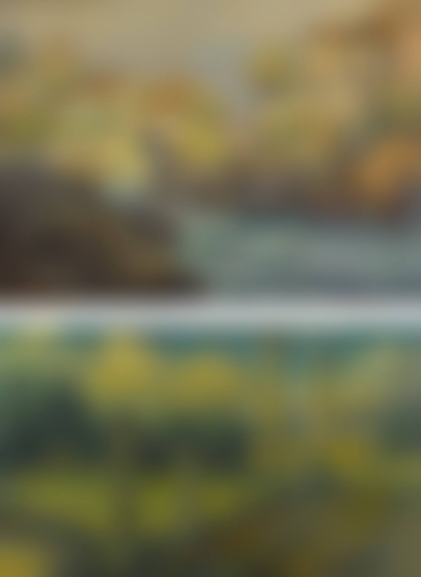 THE RAPIDS, LAUFENBURG, SWITZERLAND AND COLUMNS IN LANDSCAPE: TWO WORKS (preview)