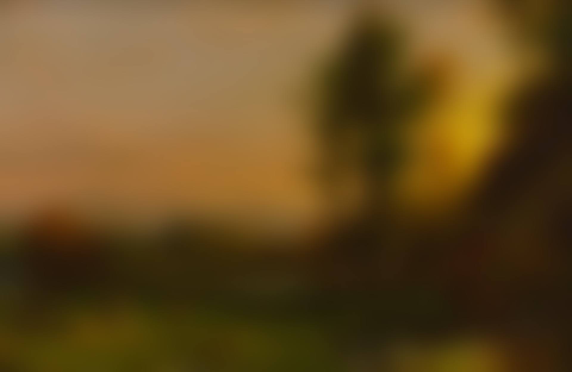 LANDSCAPE STUDY (preview)