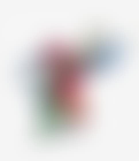 MYSTERIOUS BIRD, PINK (REMEMBERING) (preview)