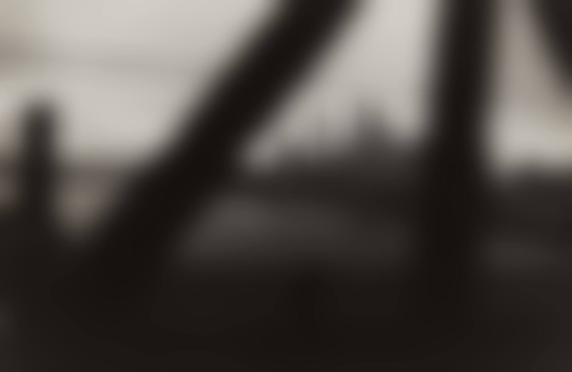 New York City (preview)