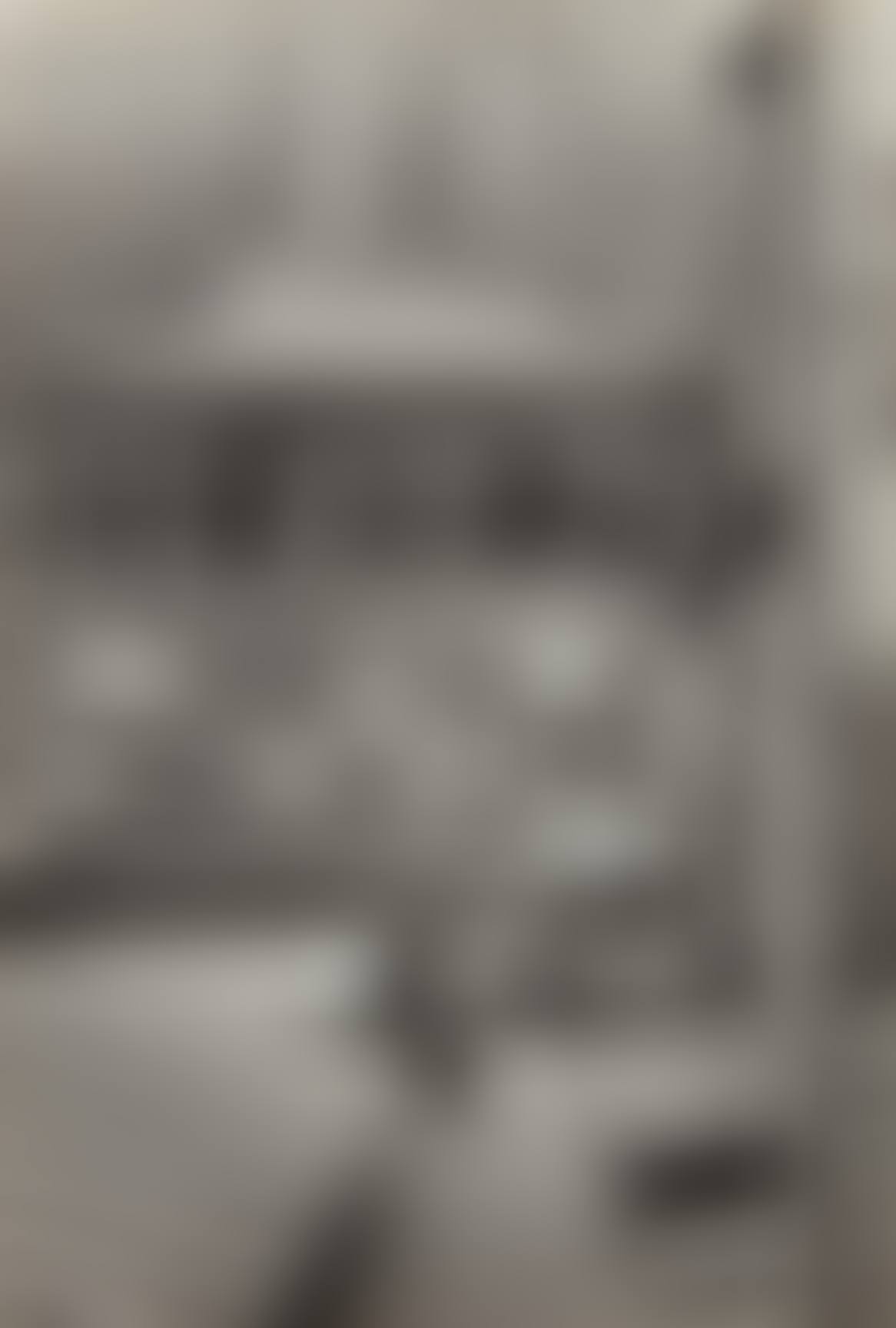 Hotel court, rue de la Boétie, Paris (preview)