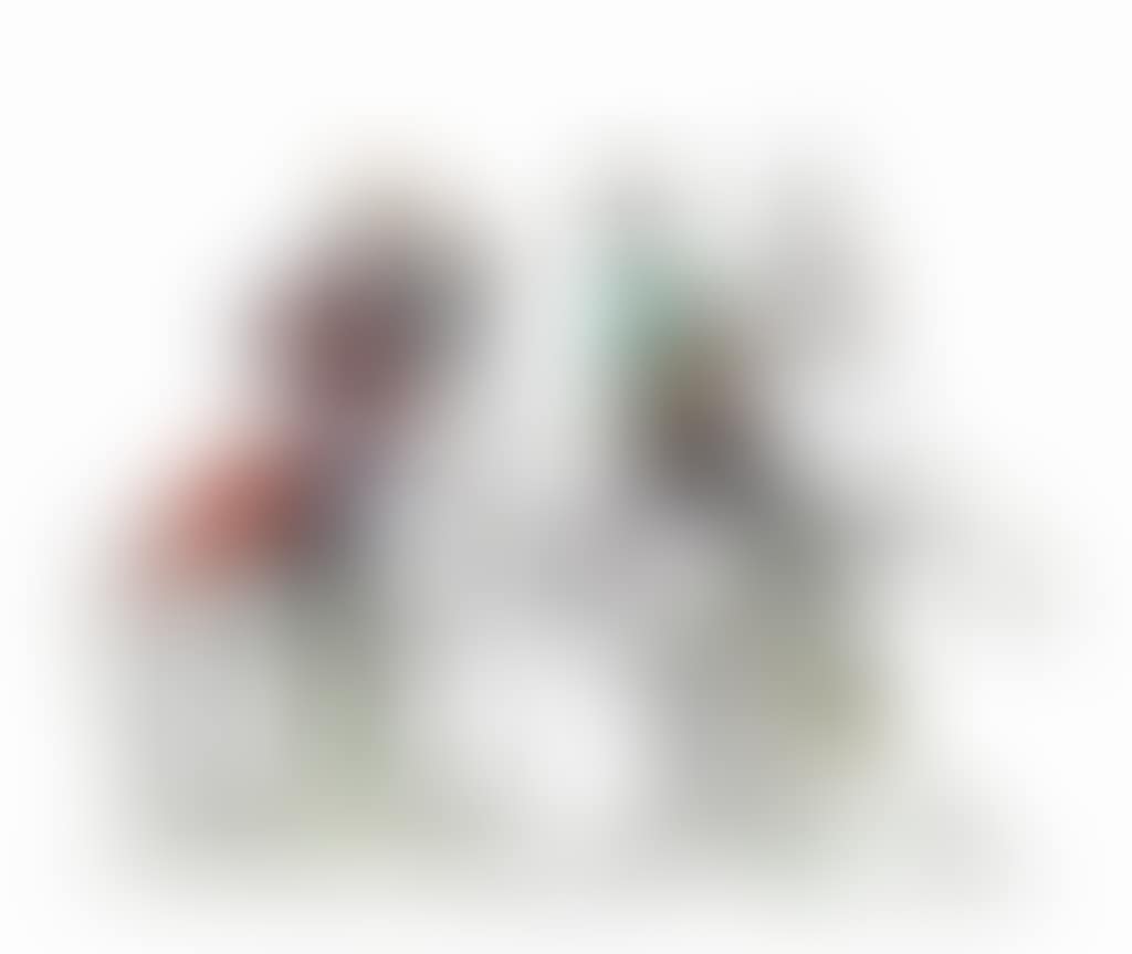 TWO EQUESTRIAN FIGURE GROUPS (preview)