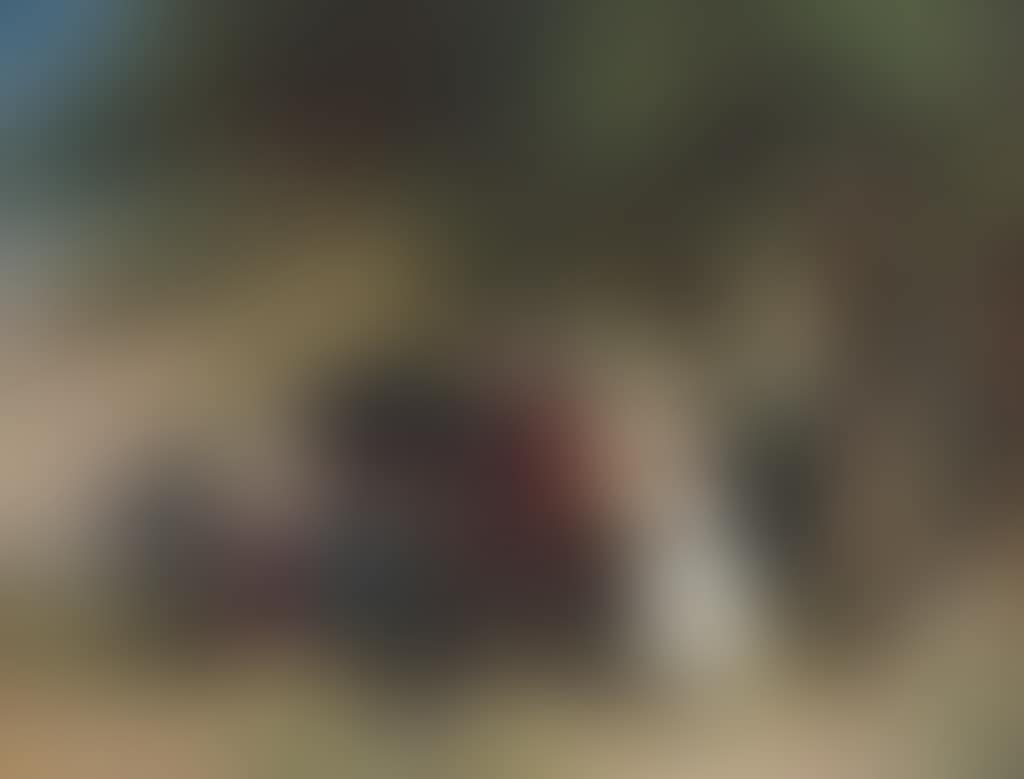 An afternoon ride (preview)