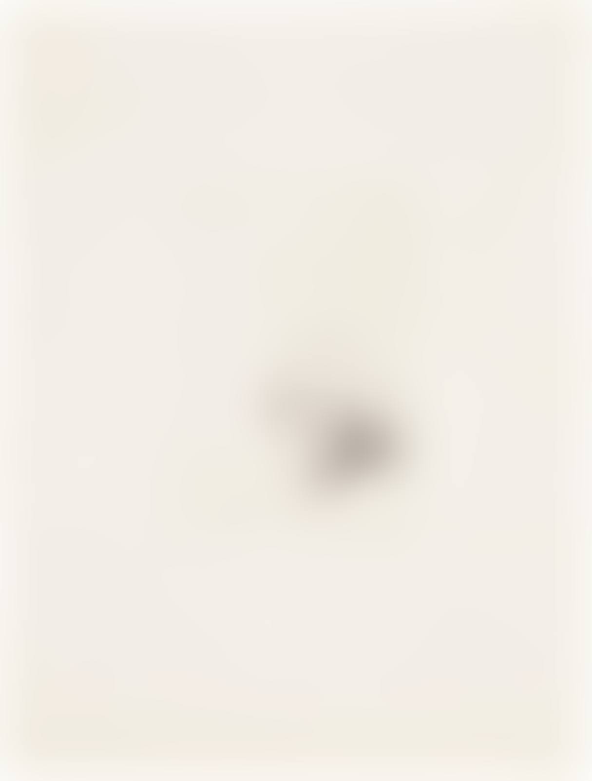 My Mother Today: as a Study for Félicité in "A Simple Heart" of Gustave Flaubert (preview)