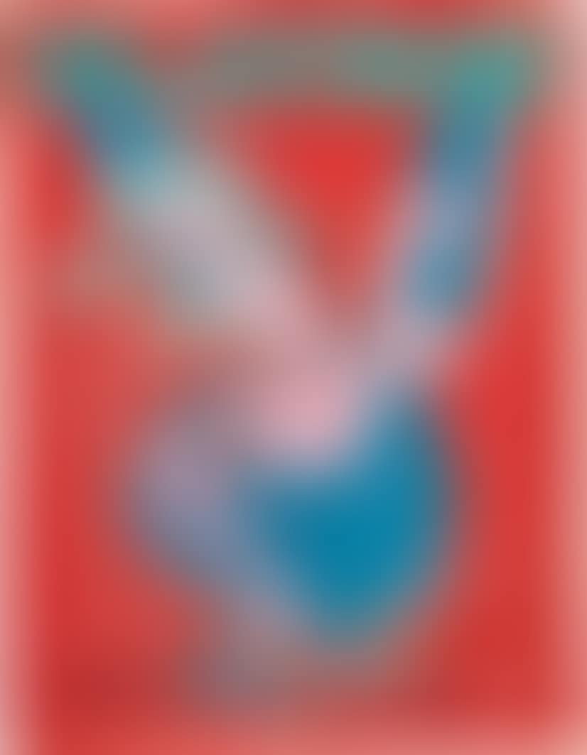 Playboy Magazine [Tomato Soup] (preview)