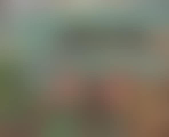 Above Largo Bay (preview)