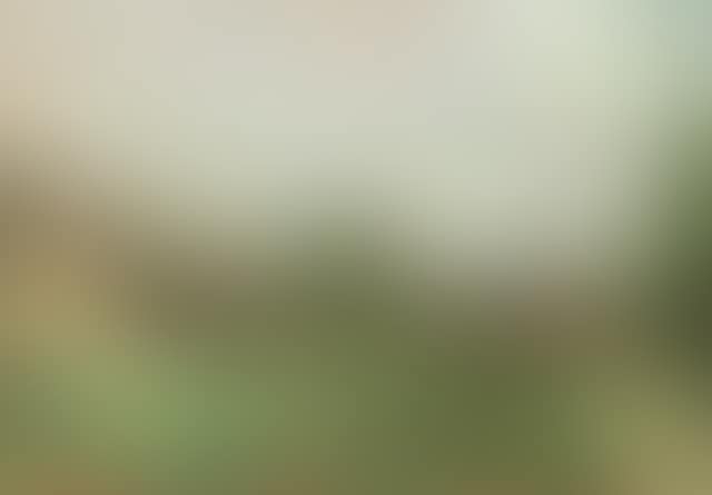 Village scene (possibly Cookham Green) (preview)