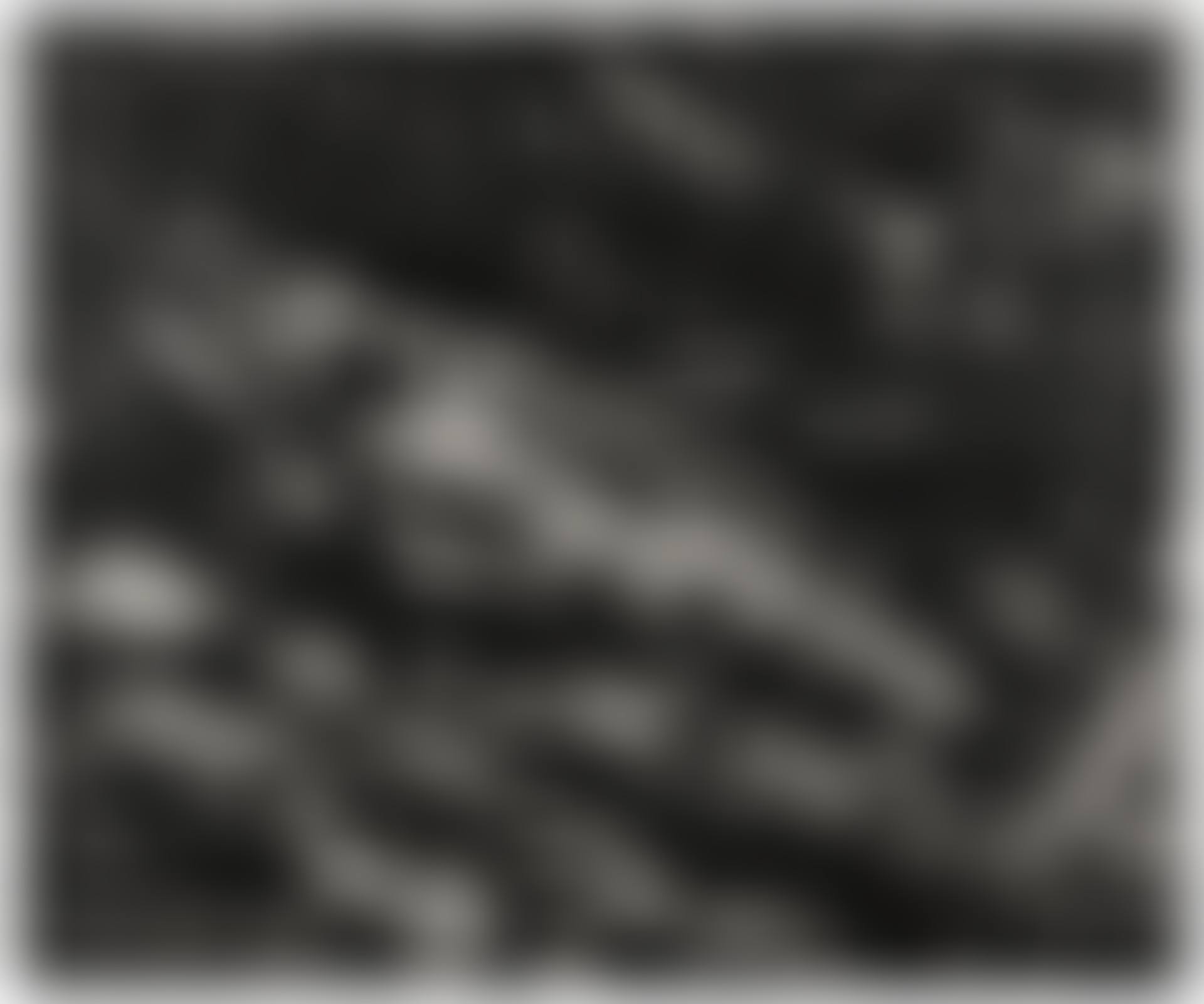 THE TROUT (AFTER COURBET) (preview)