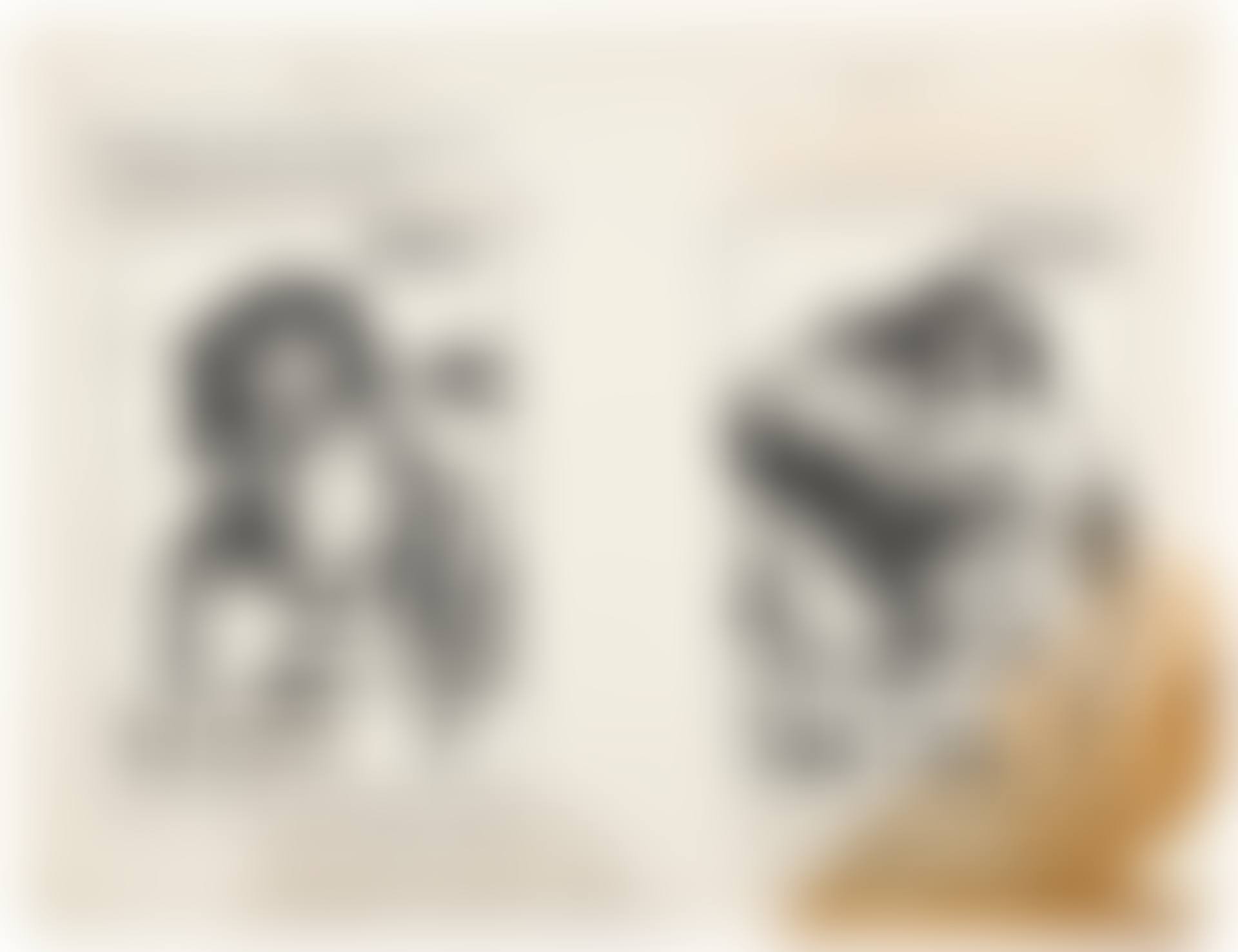 UNTITLED (preview)