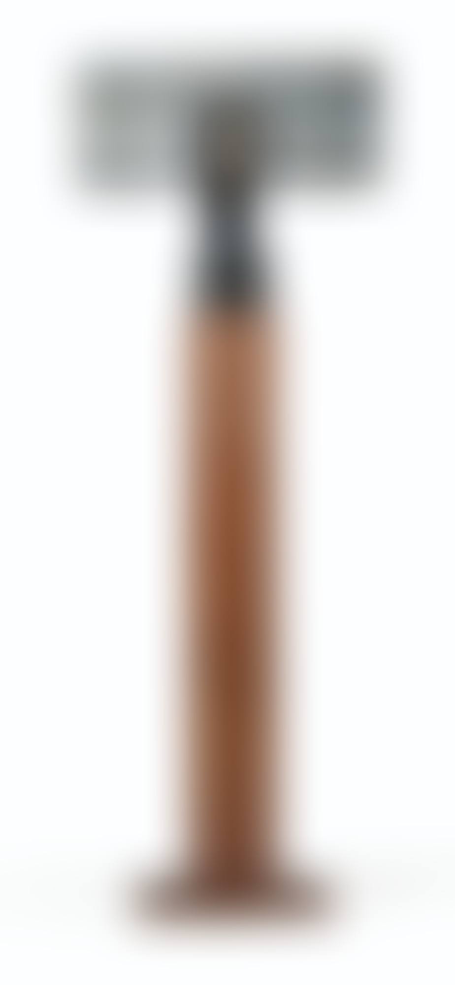 UNTITLED (FROM THE COLOSO SERIES) (preview)