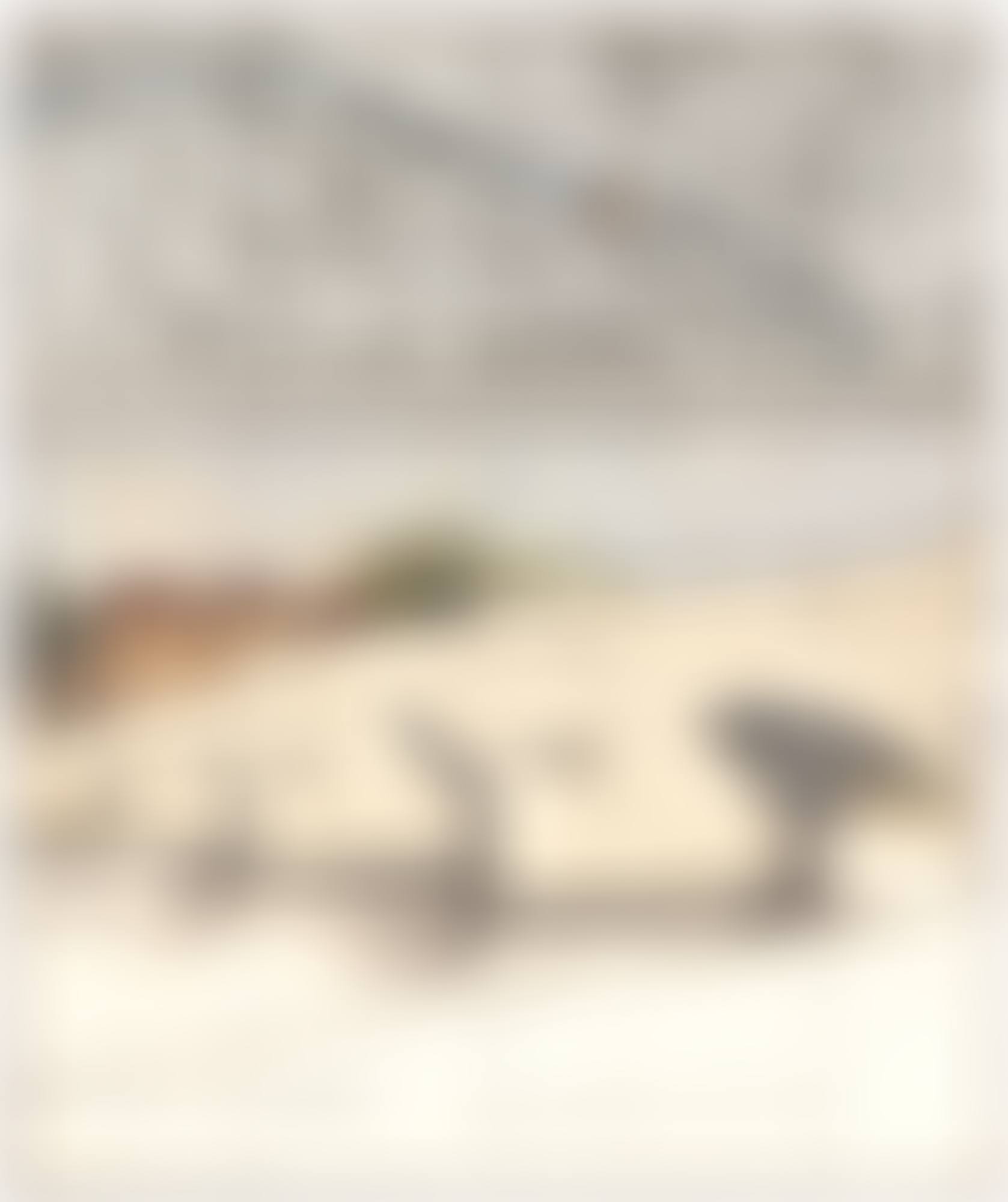 THE PONT NEUF, WRAPPED (PROJECT FOR PARIS) (preview)