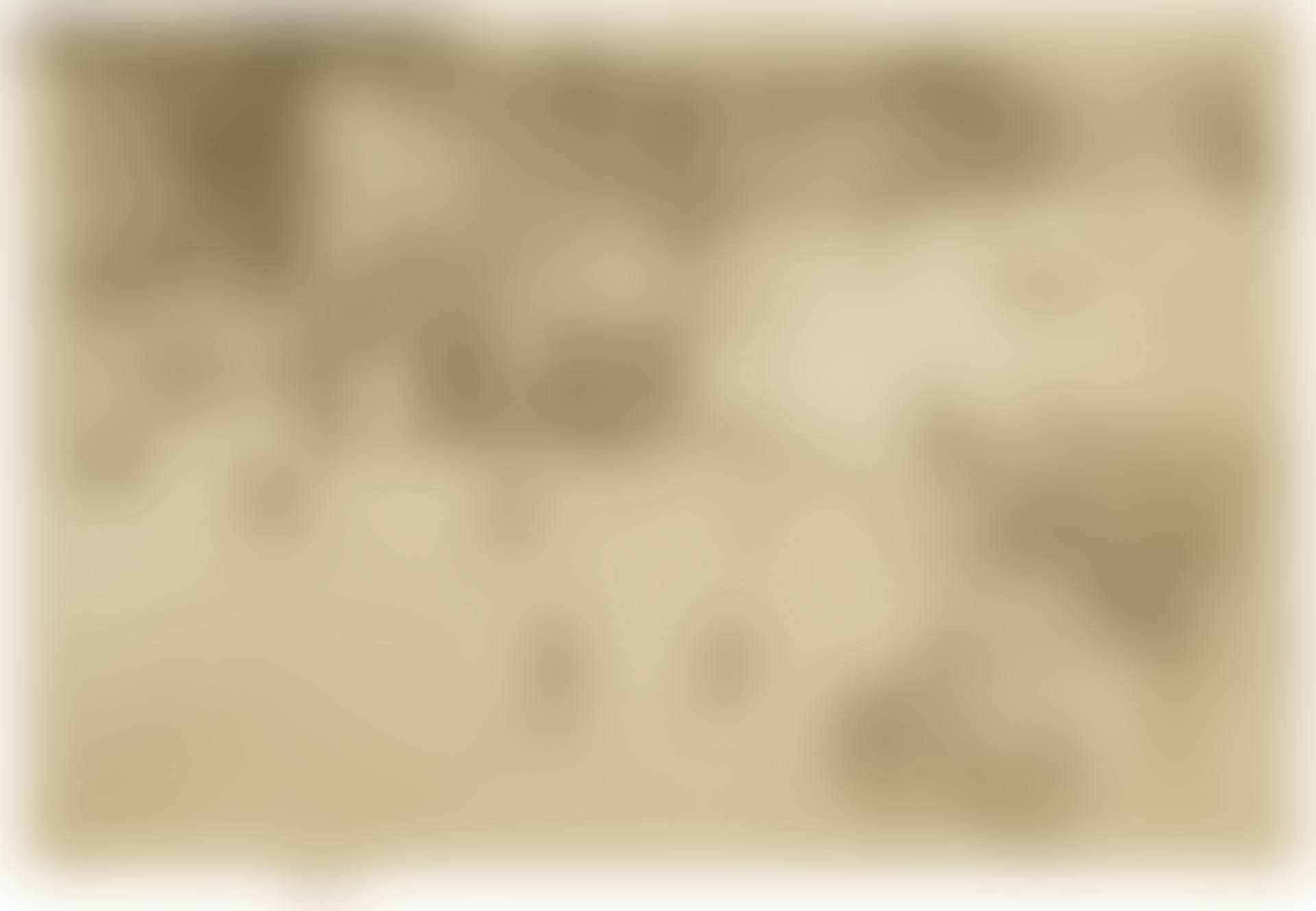 THE RIVA, NO. 2 (K. 206; G. 230) (preview)