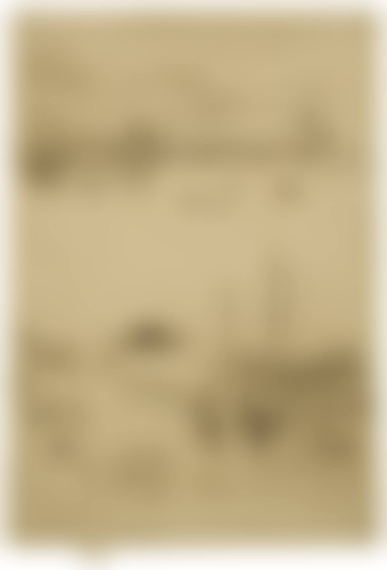 UPRIGHT VENICE (K. 205; G. 232) (preview)