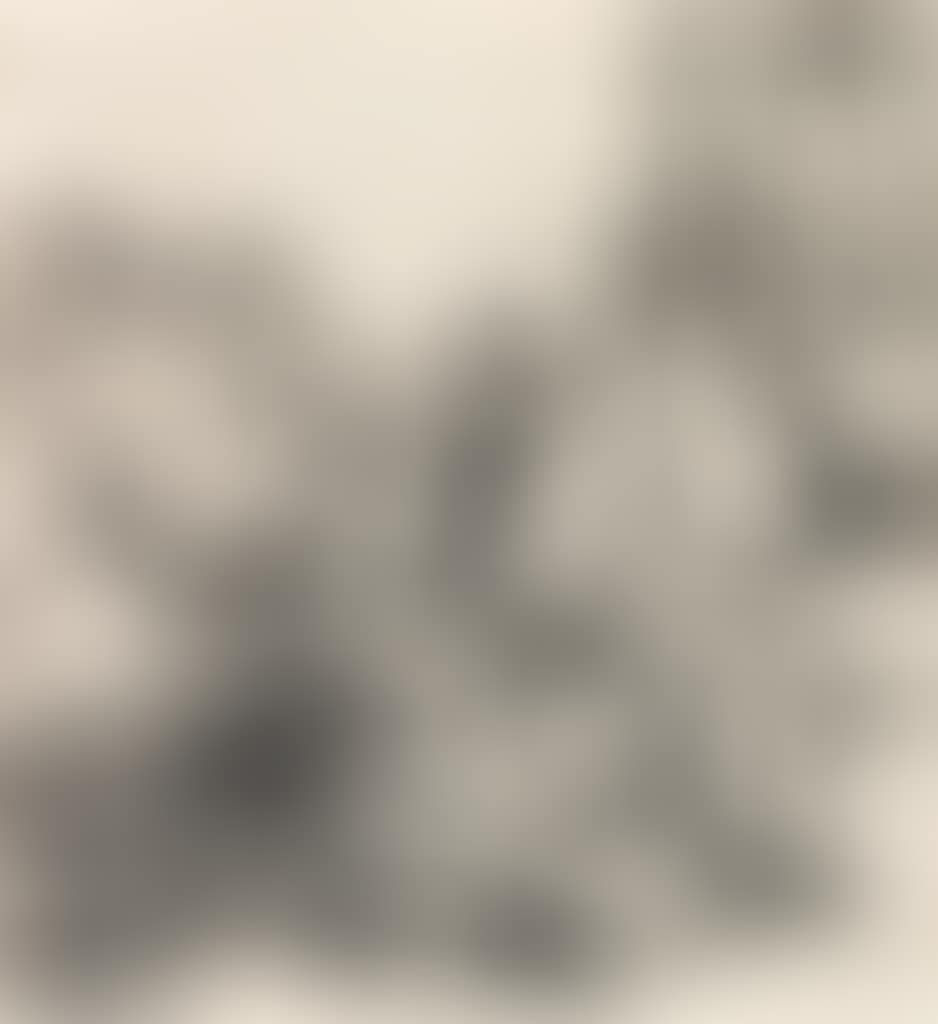 Ill-Assorted Couple (preview)