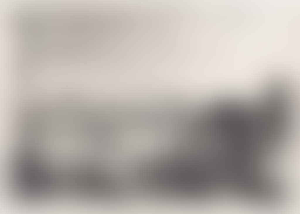 Ale Porte Del Dolo (preview)