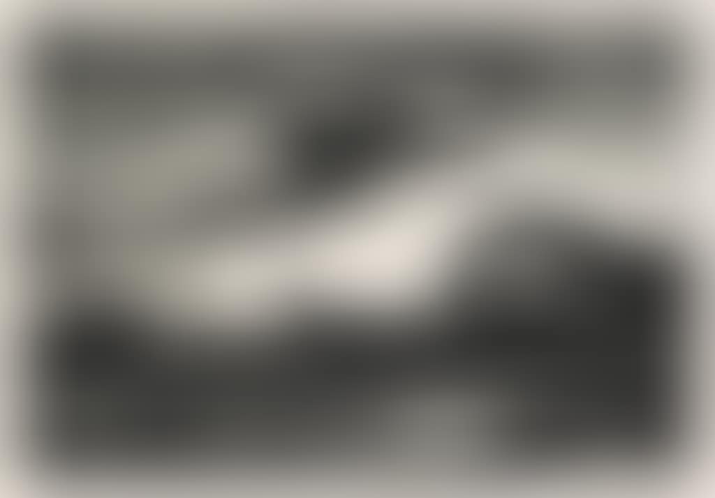 The Race (preview)