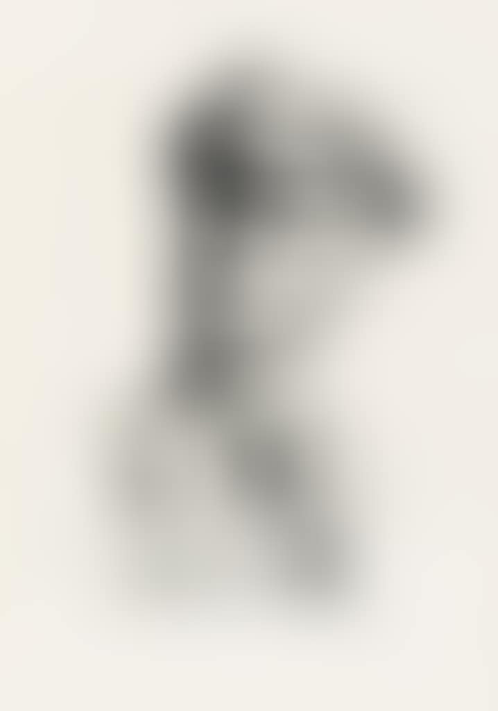 Ma Joad * Pa Joad * Sharon Joad * Tom Joad * Casy (preview)