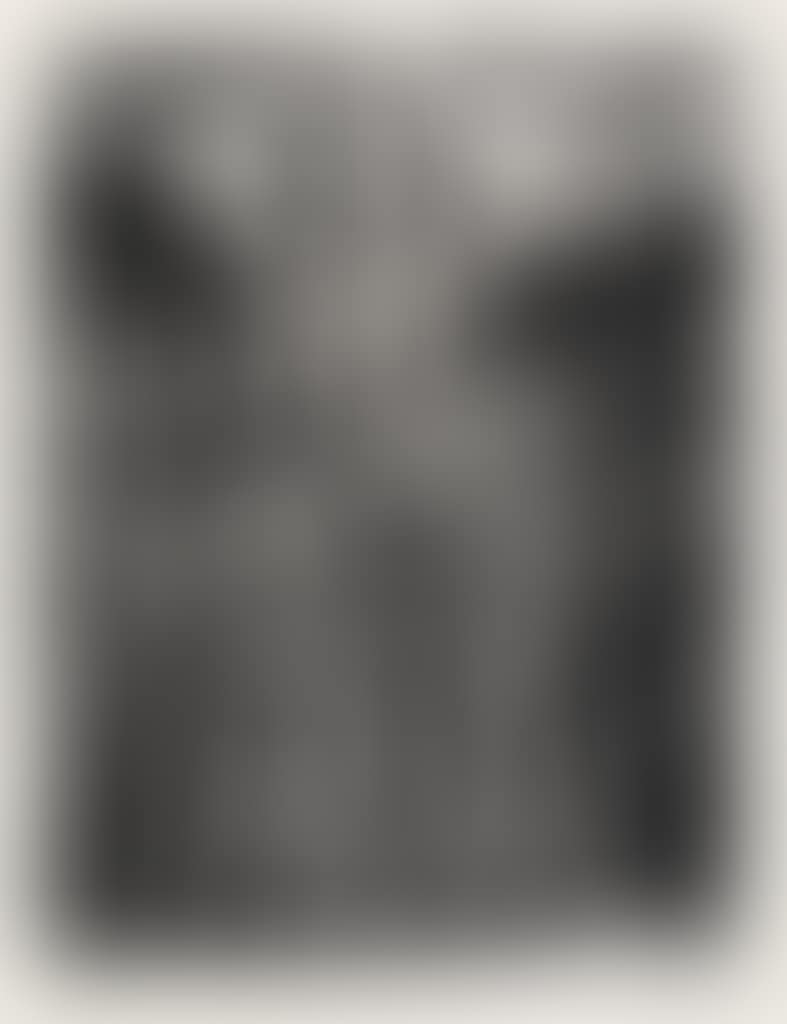 25 Prints Of Leopoldo Méndez (preview)