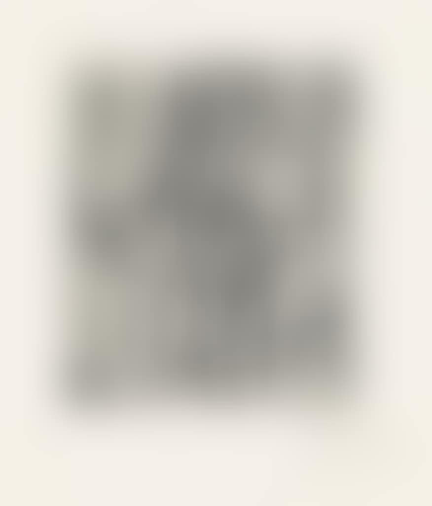 Nature Morte Au Compotier (preview)