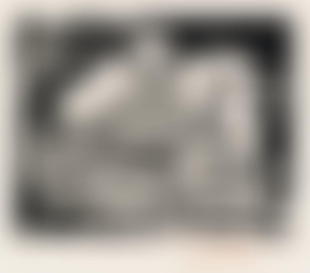 Le Pigeonneau (preview)