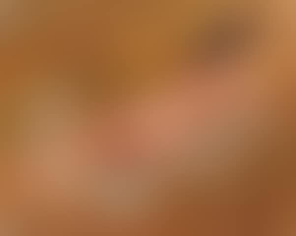 Liegender, Lesender Akt (preview)