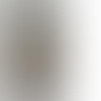 Mujer con abanico II (Light) (preview)