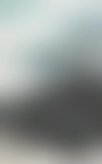 Between clouds and trees (preview)