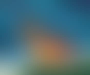 Bird (preview)