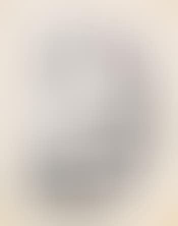 Untitled, SF85-646 (preview)