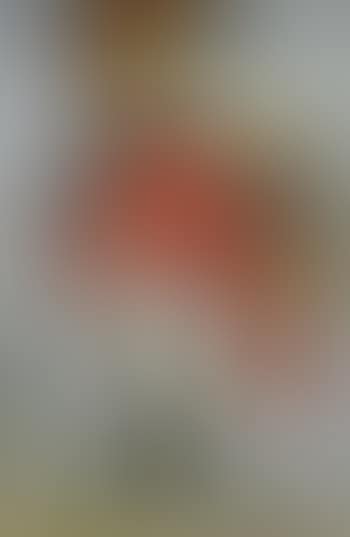 Captain Chook discovered Australia (preview)