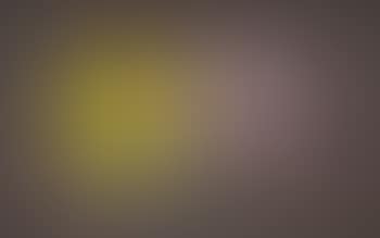Face with yellow flowers (preview)